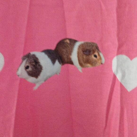 Guinea pig print long sleeve pink top loungewear pj top shirt Sz S NWOT - Picture 4 of 6